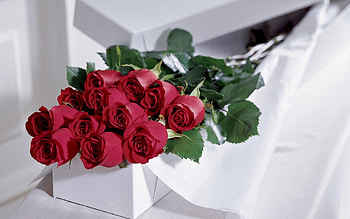 Bouquet for you, bouquet, plants, petals, blossoms, nature, blooms, lovely, wers HD wallpaper