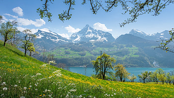 Switzerland, nature, lake, mountain HD wallpaper