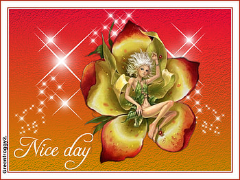 NICE DAY, DAY, NICE, COMMENT, CARD HD wallpaper