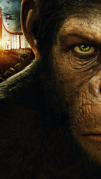 Rise of the Planet of the Apes (2022) movie HD phone wallpaper