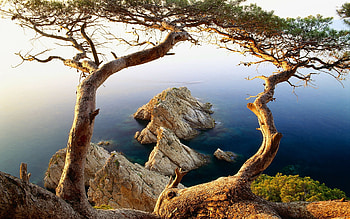 Landscape, Trees, Mountains, Sea HD wallpaper