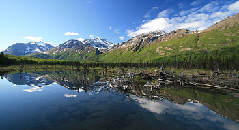 Lake in Alaska, blue, alaska, mountain, lake, green, clouds, trees, nature, sky, water HD wallpaper