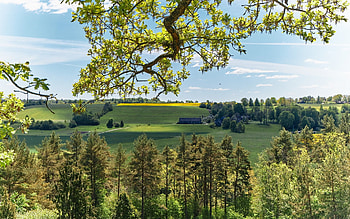 Latvian Landscape, landscape, fields, Latvia, tree HD wallpaper