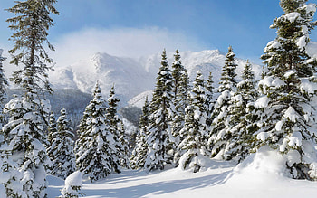 Winter Wonderland in the Mountains, nature, forest, mountains, snow HD wallpaper