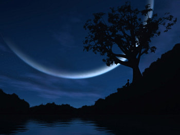 Late night reverie, night, darkness, moon, tree HD wallpaper
