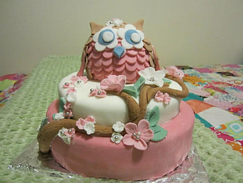 cake, foods, entertainment, yummy HD wallpaper
