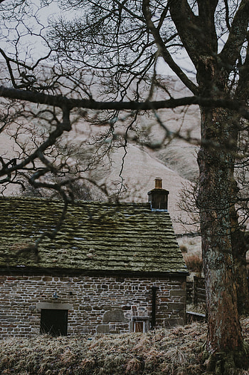 Building, Miscellanea, Miscellaneous, Wood, Tree, House, Old, Hill HD phone wallpaper