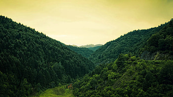 Nature, Mountains, Forest, Small House, Lodge, Backwoods, Boondocks HD wallpaper