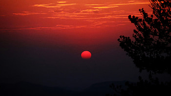 Sunset During Golden Hour, sunset, golden, nature HD wallpaper