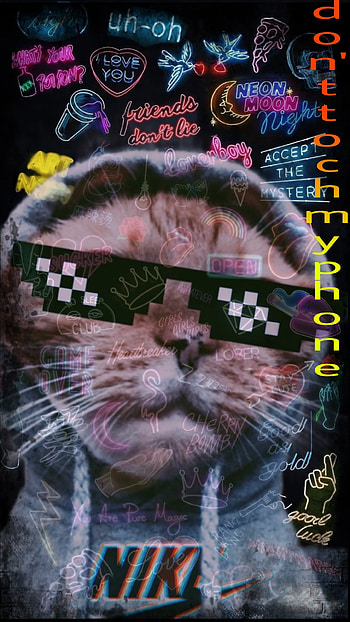 bad cat, whiskers, pink HD phone wallpaper