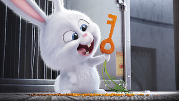 The Secret Life of Pets (2022) movie HD wallpaper