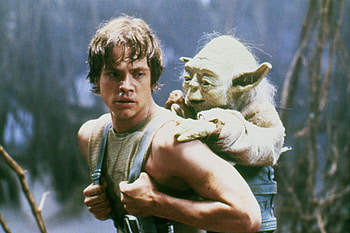 The Mandalorian, Mark Hamill cameo, Star Wars fans, Excitement HD wallpaper