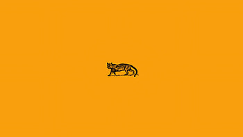 Wild Cat Minimal , cat, minimalism, minimalist, artist, artwork, digital-art, behance HD wallpaper