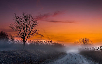 Winter Evening, mist, landscape, colors, sky, road, sunset HD wallpaper
