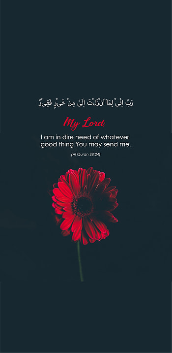 Dawah, muslim, islamic, islam, religious, Dawah HD phone wallpaper