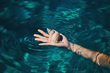 Water, Hand, Miscellanea, Miscellaneous, Shell HD wallpaper