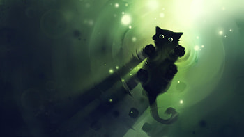 Animals, Cats HD wallpaper