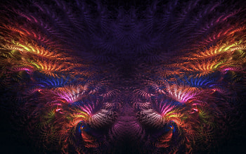 Abstract, Feather, Patterns, Lines, Wings, Shapes, Shape HD wallpaper