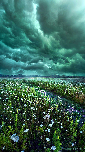 Beautiful For, Green, Garden HD phone wallpaper