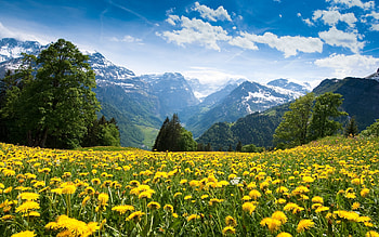 Landscape, Mountains HD wallpaper