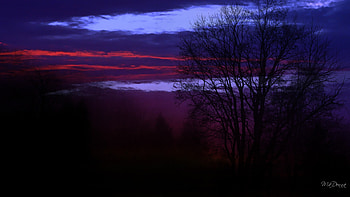 Nights Darkening, purple, firefox persona, trees, sky, , sunset HD wallpaper