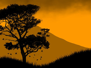 Yellow Sky, sky, yellow HD wallpaper