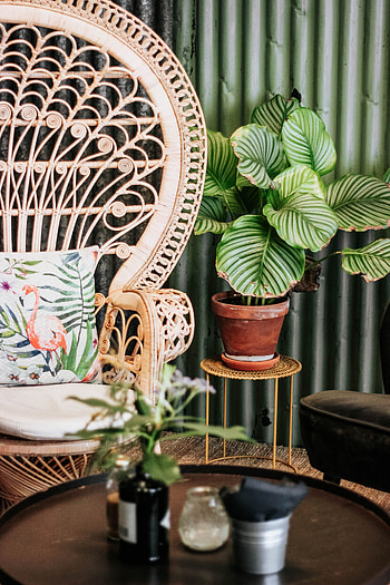 Flowers, Interior, Miscellanea, Miscellaneous, Design, Decor, Furniture HD phone wallpaper