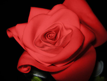 Rose, abstract, flower HD wallpaper