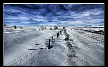 Snow Field, field, snow HD wallpaper