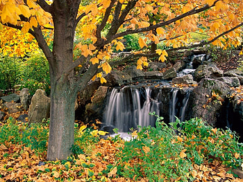 Landscape, Trees, Autumn, Waterfalls HD wallpaper