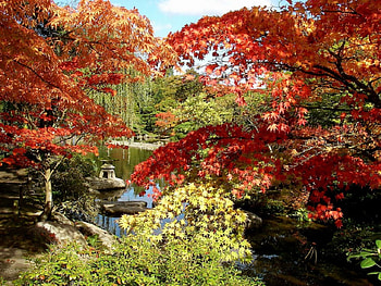 Autumn Park, trees, autumn, parks, nature HD wallpaper