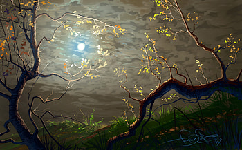 Trees, Art, Sun, Clouds, Branches HD wallpaper