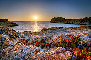 Corsica, rays, sea, mediterraneo, Italy, rocks, beach, shore, reflection, nature, flowers, sky, amazing, water, sun, sunset HD wallpaper