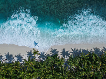 View From Above, Nature, Palms, Ocean, Foam, Surf, Wave HD wallpaper