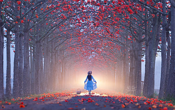 :), blue, path, girl, dress, copil, wood, red, autumn, leaf, forest, toamna, hat, dream, child HD wallpaper