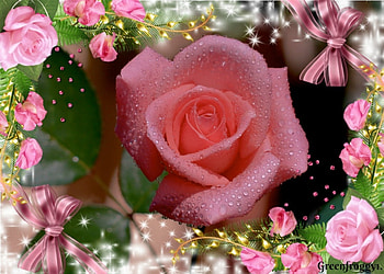 ROSE FRAMED ROSES, PRETTY, FLOWERS, ROSE HD wallpaper