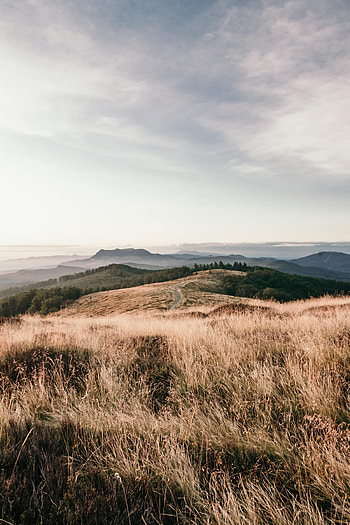 Nature, Grass, Sky, Mountains, Road HD phone wallpaper