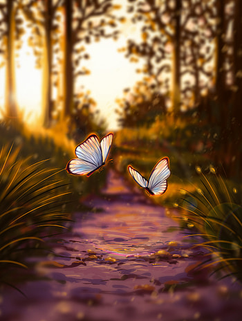 Butterflies, Art, Glare, Shine, Light HD phone wallpaper
