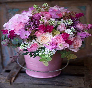 Still life, Roses, pink, flowers, Bucket HD wallpaper