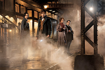 Fantastic Beasts, , Background , Fantasy creatures HD wallpaper
