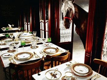 Whats for dinner, table, dinner, horse, fun HD wallpaper