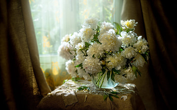 Still life, Bouquet, Curtains, Table, Flowers, Light HD wallpaper