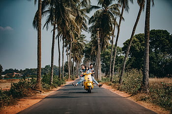 A joyful couple rides a yellow scooter through a scenic palm-lined road, capturing the essence of tropical travel and adventure. HD wallpaper