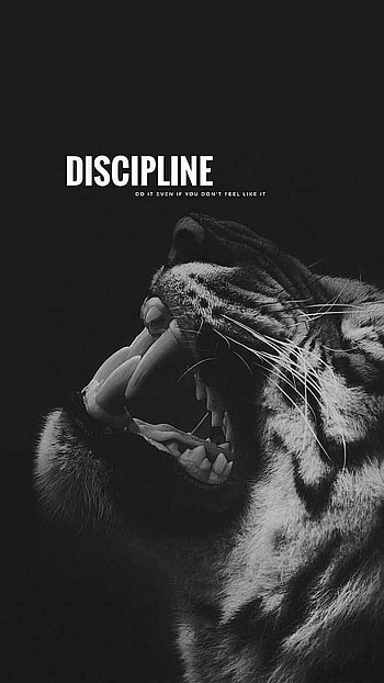 Motivational Quote, gym, discipline HD phone wallpaper