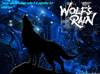 kiba's search for paradise, wolves, search, howl, kiba, wolfs rain HD wallpaper