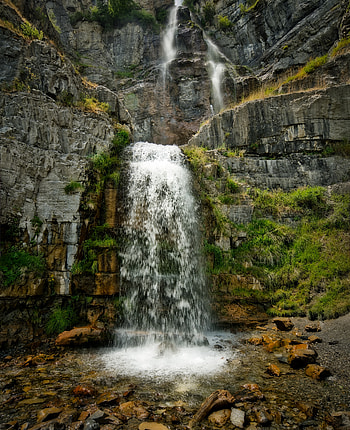 Plants, Nature, Water, Stones, Rocks, Waterfall HD phone wallpaper