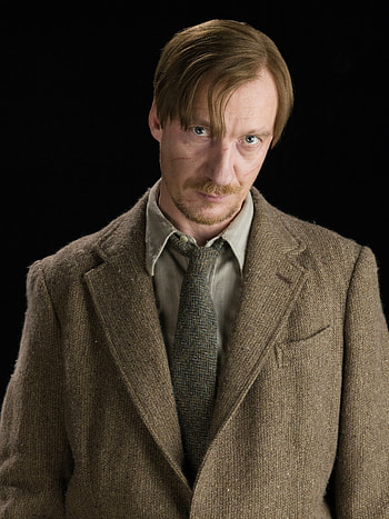 Remus Lupin, Queer narrative, Hijacked storyline, Representation HD phone wallpaper
