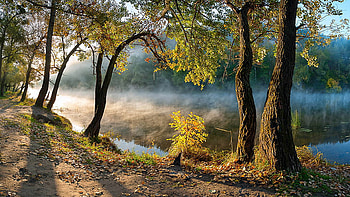River With Mist Green Leafed Trees Reflection On Water With Sunlight Nature HD wallpaper