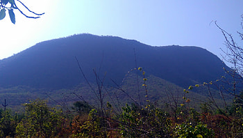 Morning view Mountain, blue, green, tree, Mountain HD wallpaper
