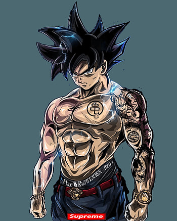 Goku UltraInstinct, Goku Gym HD phone wallpaper